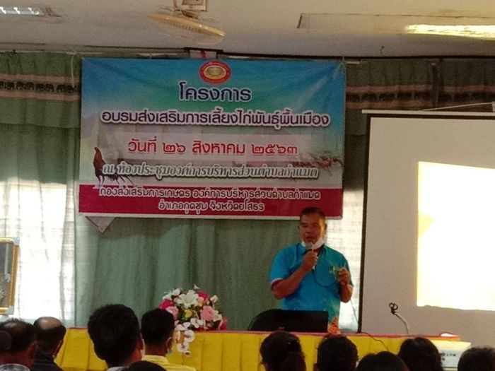 โครงการอบรมส่งเสริมการเลี้ยงไก่พันธุพื้นเมือน 